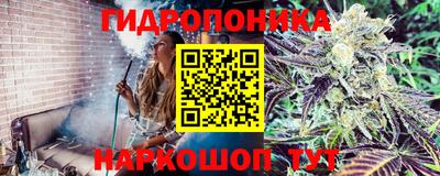 тгк Первоуральск