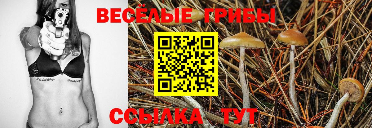 Галлюциногенные грибы Cubensis Серпухов